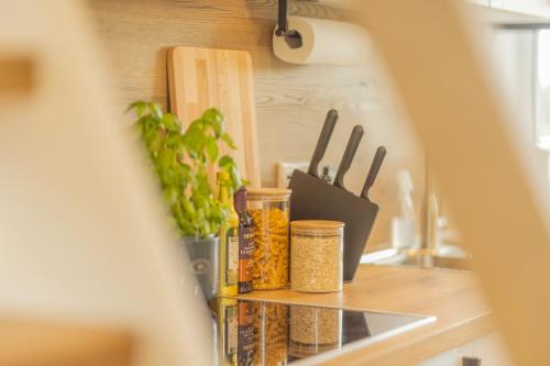Loft mit Burgblick, Bad Bentheim (foto 5)