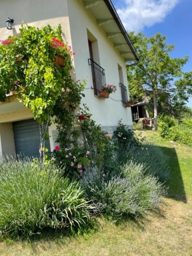 Dārzs, Casa Della Luna in Badia Tedalda