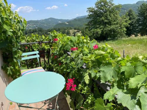 Balkons/terase, Casa Della Luna in Badia Tedalda