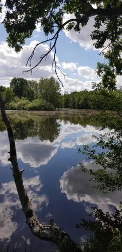 Schwalbennest in Jetsch, Deutschland