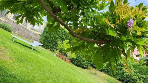 B&B Flauto Magico 4