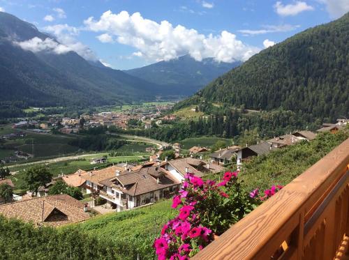 B&B La Marmotta 3