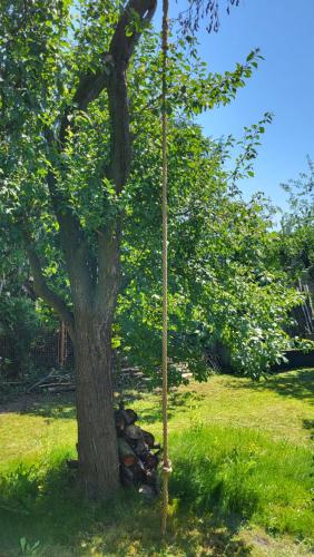 Garden, Old Summer House with renovated bathroom in Prague 21