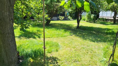 Old Summer House with renovated bathroom, Praha (fotografie 6)
