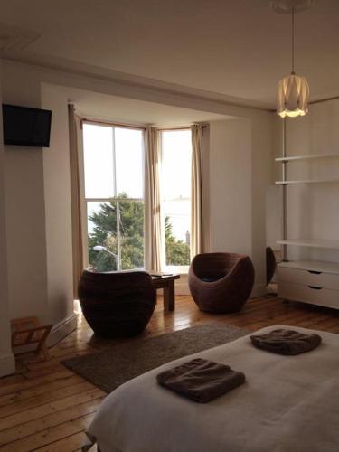 organic panda – St. Ives
