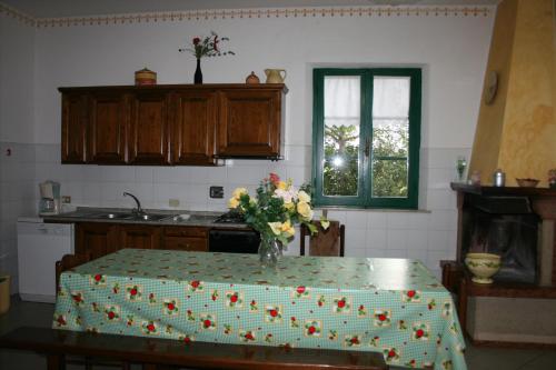 Konyha, Villa Cantagallo in Santa Catarina