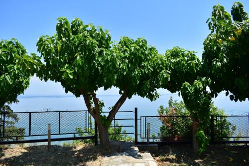 景觀, White Clam Vintage House with sea view & garden in 麥克里吉亞洛斯