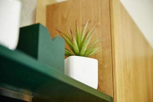 Appartment Auhäusl – Mittersill, SD