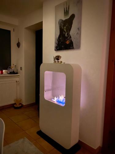 Naturforsthaus Ferienwohnung für Hunde- und tierverbundene Menschen in Preitenegg