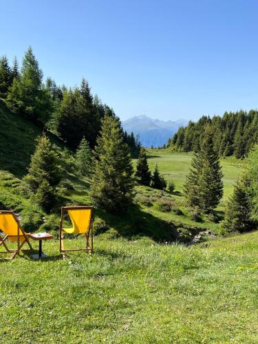 Alp Jurte Skihütte Feldis