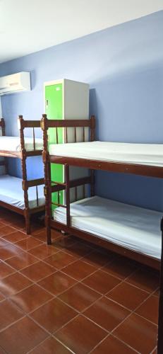 Hostel365