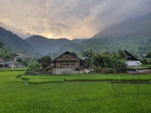 Organic Farm Homestay photo