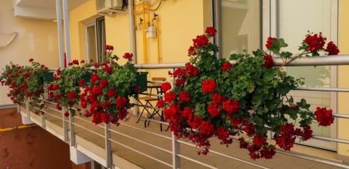 Lotus 3 parcare privată inclusă Lotus 3 parcare privată inclusă