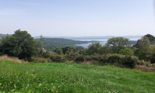 Cuckoo Tree House Glengarriff Beara Peninsula