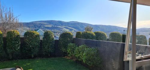 Surrounding environment, Roslyn Sanctuary Hereford St Dunedin in West Dunedin