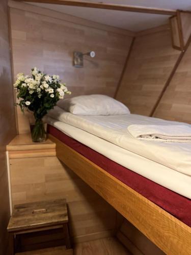 Economy Cabin on Boat (3 Adults) image 10