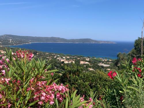 Villa Cacharelle Vue Mer - Chambre d'hôtes - Cavalaire-sur-Mer