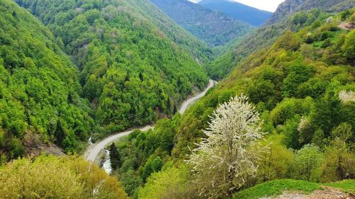 Bližnja okolica, Belle Resort in Lumbardh