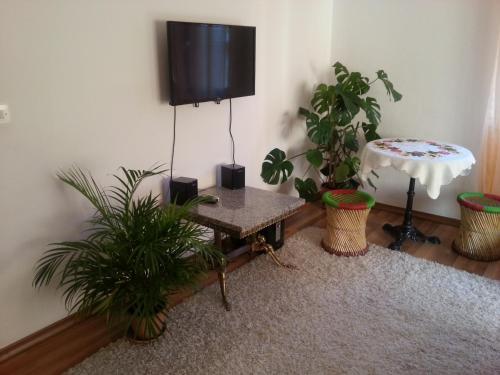 Guest House Goa Mostar - image 11