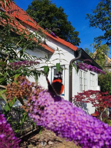 Fischerhaus Blankenese, Hamburgo (foto 7)