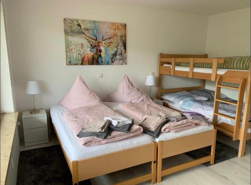 Haus am Sonnenberg,Todtnauberg, Ferienwohnung 105, direkt am Skilift-Skipiste, Nähe Feldberg in Todtnauberg, Deutschland