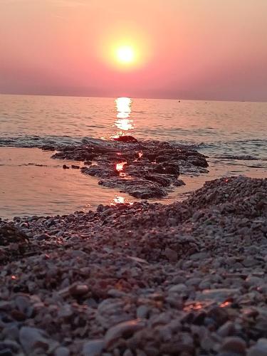  Apartment studio TA-TI in Umag