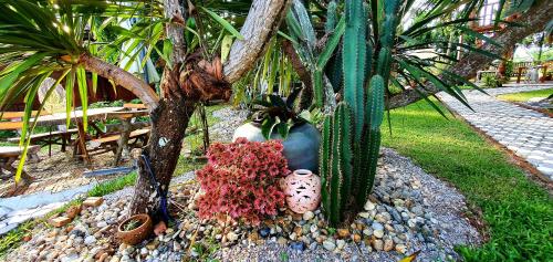 Baan Suan Taboon Homestay - 정원