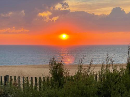 Airial du Seignanx - image 4