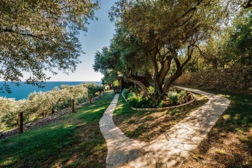 Holiday Park Olive Tree