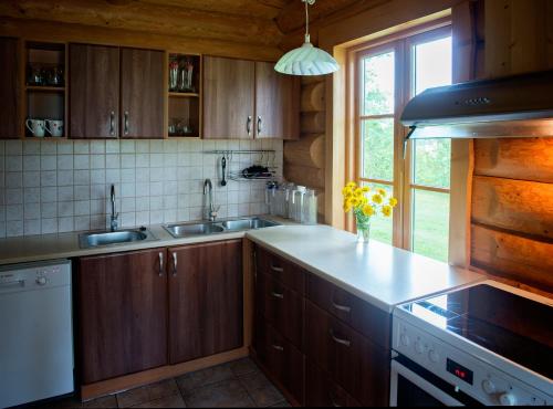 Kitchen, Aasa Holiday Homes in Other