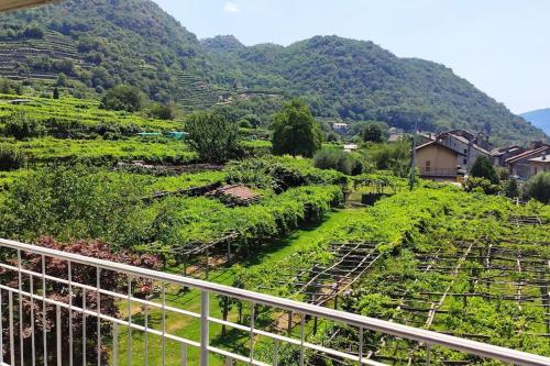 La casa dei nonni 3,0 4