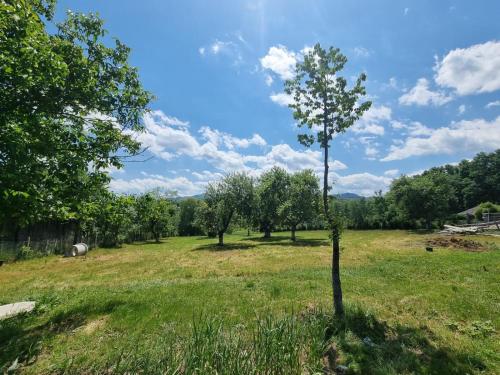 View, Casa primitoare in inima naturii si padurii in Minastirea Neamt