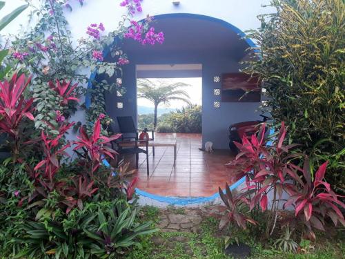 Swim & Paint Art Retreat in Humacao