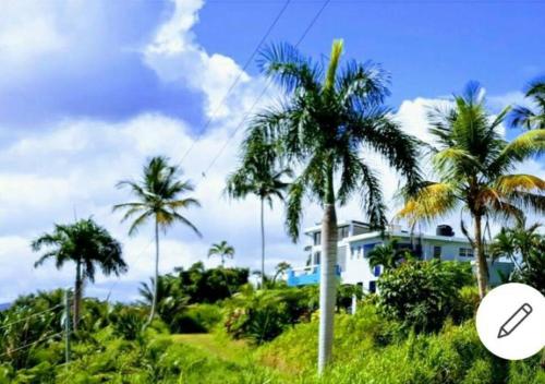 Swim & Paint Art Retreat in Humacao