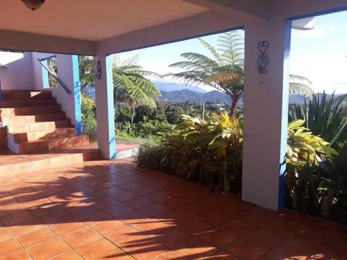 Swim & Paint Art Retreat in Humacao