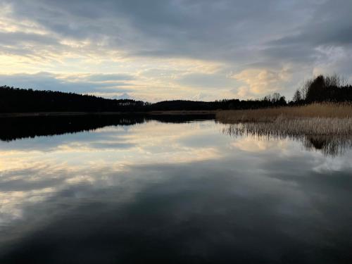 Domki nad jeziorem w Borach Tucholskich