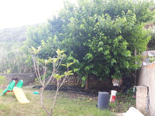  DOMUS AUSTRI in Messina