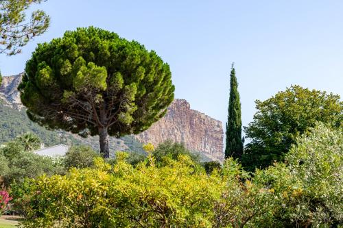 Le Nadadou par Dodo à Cassis