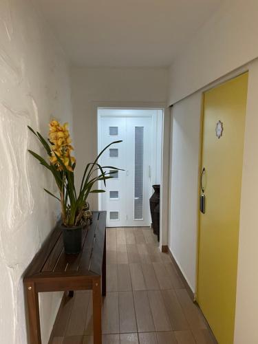 Jardins Village Hostel - Jardim Paulista