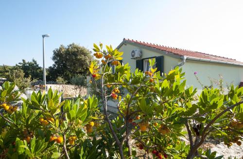 Guest House Loranum - image 14