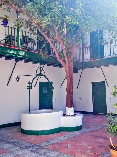 La Puerta Verde de las Setas de Sevilla, Sevilla (Foto 8)