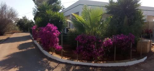 2 bedrooms, 5 beds