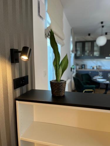 Halo Apartments Check in 24h Privat Parking