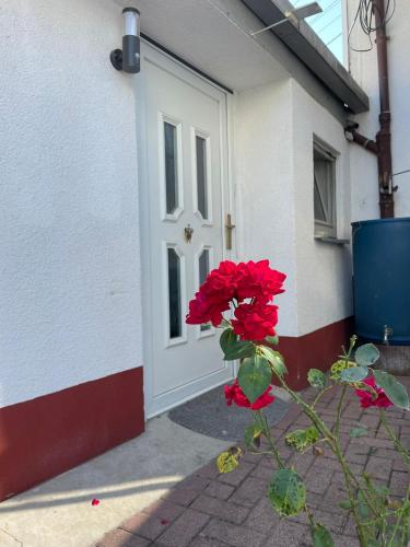 Ostermanns Apartment in Bretten, Deutschland