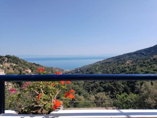 Blue Vista Ikaria