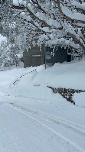 Winterbrook Chalet in Mount Buller