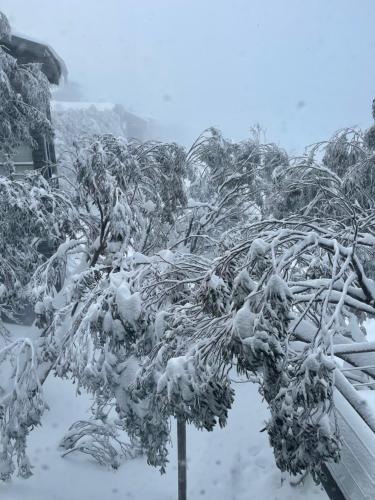 Winterbrook Chalet in Mount Buller