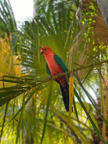 Kosmo’s Studio: City Style in a Retreat Setting!