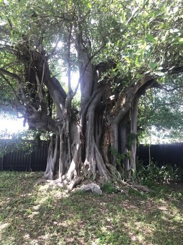 Bekahouse Hostel with parking, backyard and laundry in Hallandale Beach (FL)