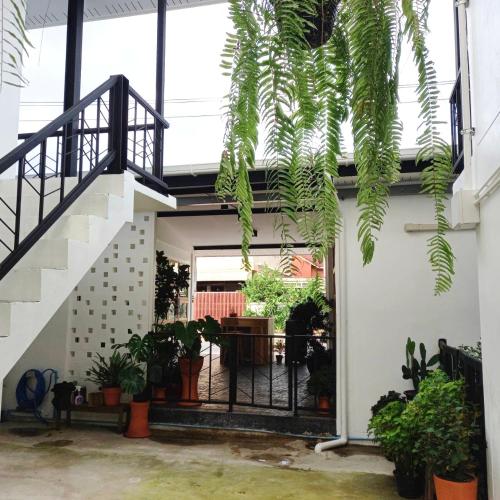 Entrance, SLEEP SLEEP SUANPHAK Homestay near Bangkok Sala Thammasop Railway Station